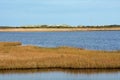 The Bodie Island Lighthouse landscape looking toward the beach Royalty Free Stock Photo