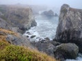 Bodega Bay, Atmospheric and Rugged, California