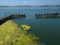 Bodega Bay pier from the air Royalty Free Stock Photo