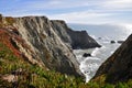 Bodega Head Royalty Free Stock Photo