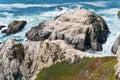 Bodega Head Rocky Coast and Tide Royalty Free Stock Photo