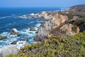 Bodega Head Rugged Coast and Trail Royalty Free Stock Photo