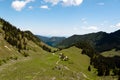 Bodenschneid Pasture, near Schliersee, Bavaria