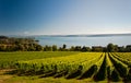 Bodensee Royalty Free Stock Photo