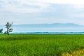 Bodensee/Lake Constance near Bregenz, Austria...IMAGE Royalty Free Stock Photo