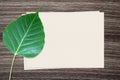 Bodhi leaf and and paper on wood background