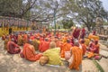 The Bodhi Tree Royalty Free Stock Photo