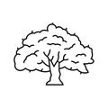 bodhi tree buddhism line icon vector illustration