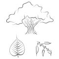 Bodhi tree or Ficus religious, hand drawn vector illustration
