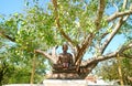 Bodhi Tree Growing from the Offshoot from India Where the Buddha Reached Enlightenment, Wat Benchamabophit Temple, Thailand