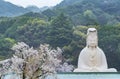 Ryozen Kannon temple in Kyoto, Japan