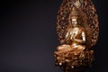 Bodhisattva Guan Yin sitting in the lotus position