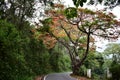 Bodi Mettu - The highest peak in South India