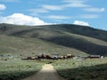 Bodie ghost town Royalty Free Stock Photo