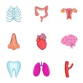 Bodies icons set, cartoon style