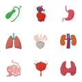 Bodies icons set, cartoon style