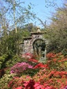 Bodnant Gardens