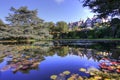 Bodnant Gardens