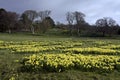 Bodnant house and gardens Royalty Free Stock Photo