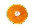 Bodrum satsuma tangerines