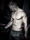 Bodybuilder training biceps Royalty Free Stock Photo