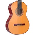 Body acoustic guitar with strings, close view