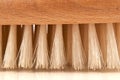 Body brush bristles. Royalty Free Stock Photo