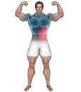 Body builder with abs pain highlighted red area Royalty Free Stock Photo