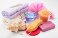 Body care accessories