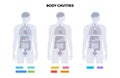 Body cavities poster