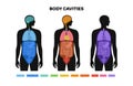 Body cavities poster