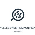 body cells under a magnification tool icon vector from body parts collection. Thin line body cells under a magnification tool