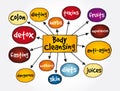 Body Cleansing mind map, health concept for presentations and reports