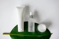 Body cream, hyaluronic serum fluid dropper and facial moisturizer on green tropical leaf on white background. Collection eco