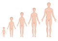 Body growing stages, human body
