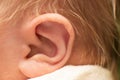 Body hair of a newborn baby. Fluff. ear close up.