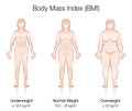 Body Mass Index BMI Female Body Thin Fat Normal