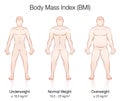 Body Mass Index BMI Male Body Thin Fat Normal Royalty Free Stock Photo