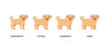 Body mass index dog, chart weight pet. BMI health, underweight, optimal, overweight and obese. House animal ginger dog