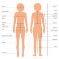 body measurements size chart, Royalty Free Stock Photo