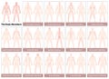 Body Meridians Chart