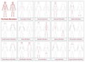 Body Meridians Chart Woman Flow Direction