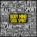 Body Mind Soul Spirit word cloud Royalty Free Stock Photo