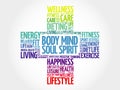 Body Mind Soul Spirit word cloud Royalty Free Stock Photo