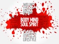 Body Mind Soul Spirit word cloud Royalty Free Stock Photo