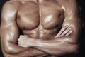 Body of muscular man Royalty Free Stock Photo
