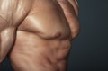 Body of muscular man. Horizontal studio shot Royalty Free Stock Photo