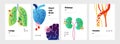 Body organs poster. Doodle banners set with lungs and kidneys, heart or brain. Circulatory system consisting of veins Royalty Free Stock Photo