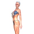 Body paiting woman Royalty Free Stock Photo
