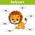 Body part. Learning words. Education developing worksheet. Activity page for study English. Game for children. Funny character. Royalty Free Stock Photo